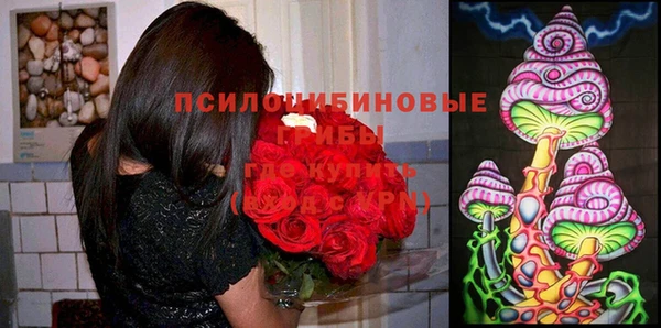 Альфа ПВП Алексин