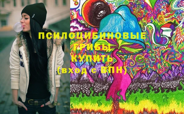 ешки Алексеевка