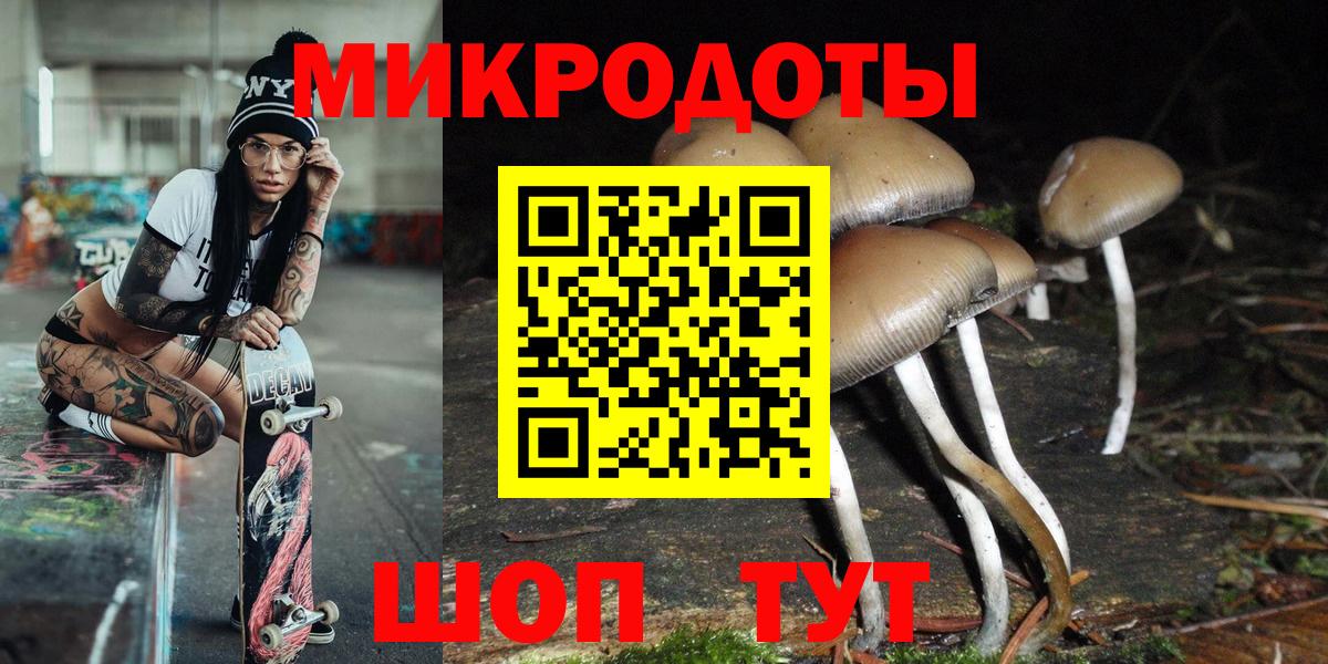 Галлюциногенные грибы Cubensis Слободской