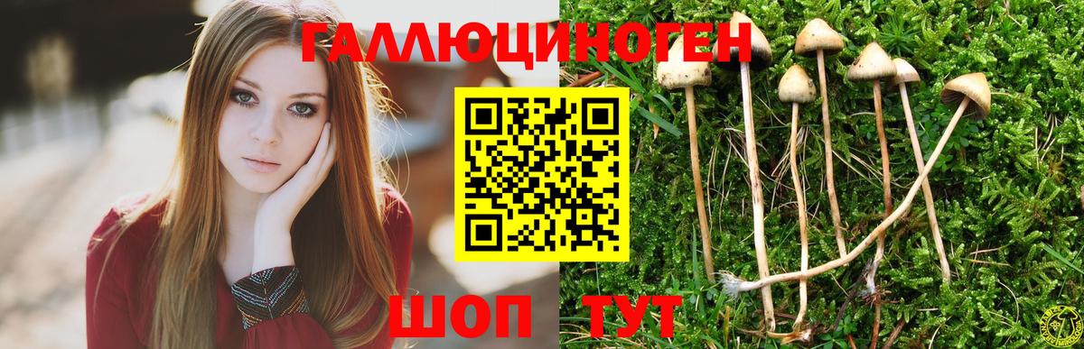 Псилоцибиновые грибы прущие грибы  Вход с VPN  Слободской 